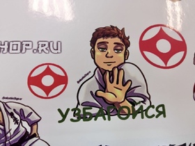 Комплект стикеров Киокушинкай