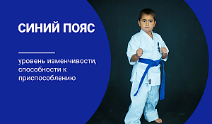 купить экипировку для каратэ киокушинкай синий пояс киокушинкай